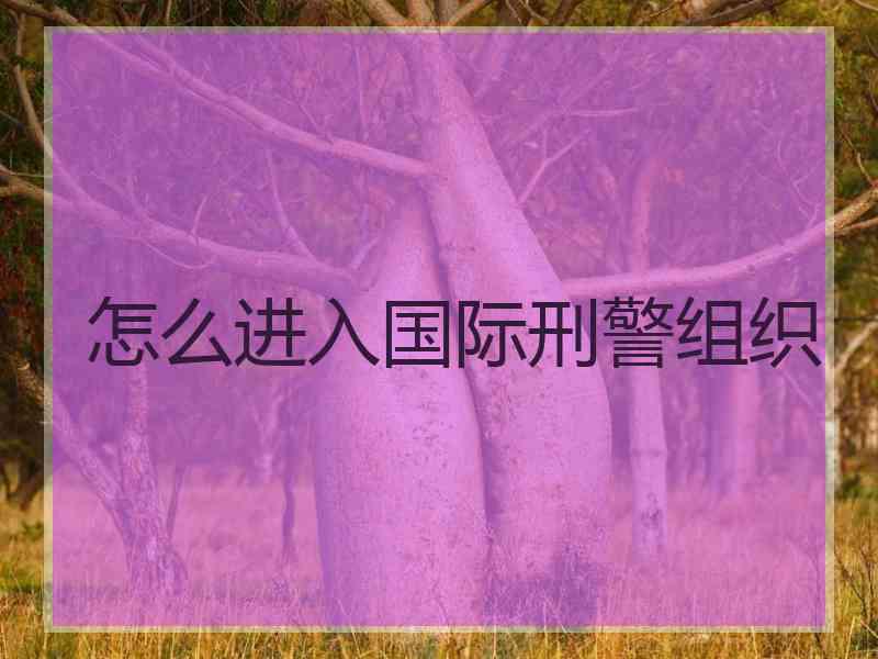 怎么进入国际刑警组织