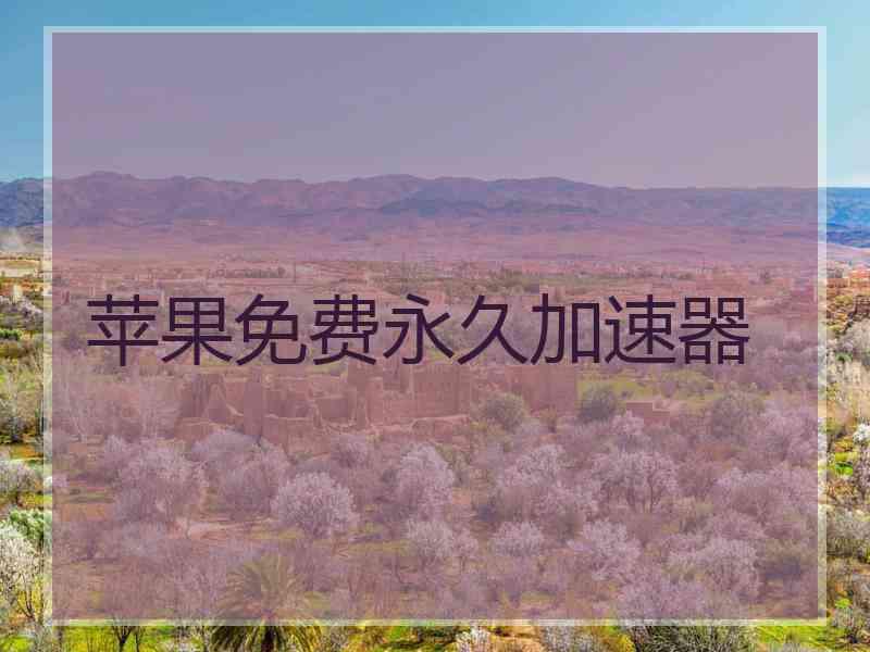 苹果免费永久加速器