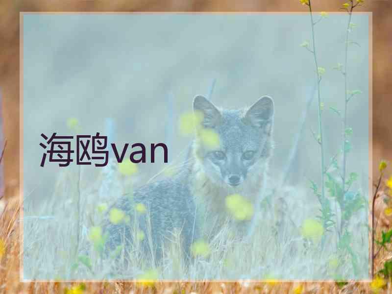 海鸥van
