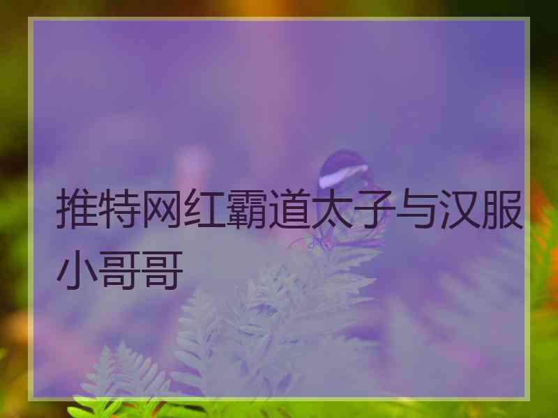 推特网红霸道太子与汉服小哥哥