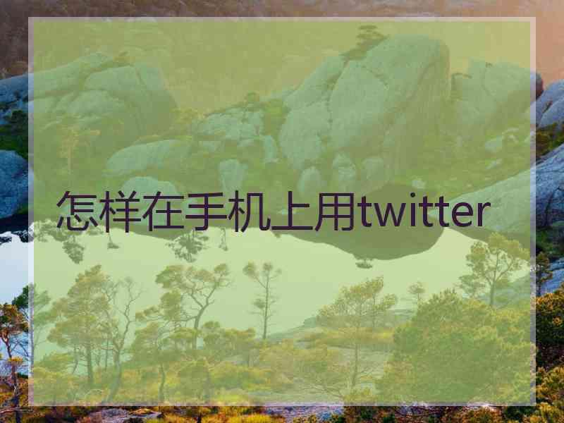 怎样在手机上用twitter