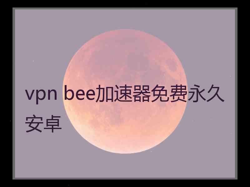 vpn bee加速器免费永久安卓