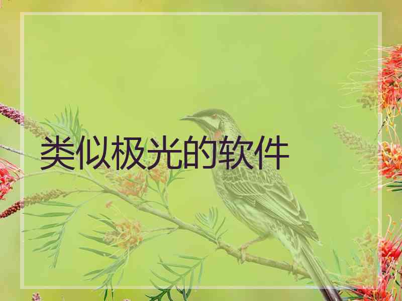 类似极光的软件