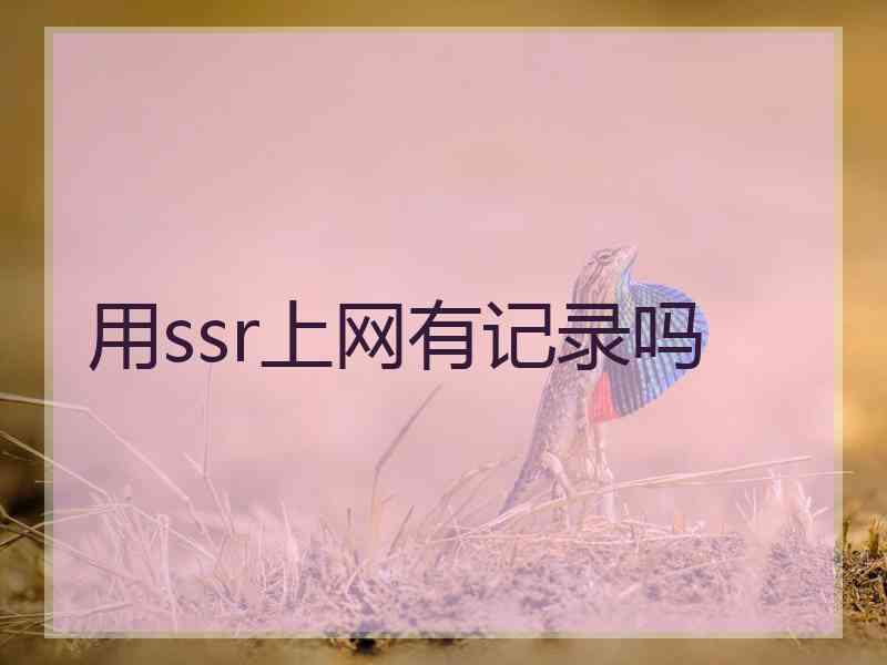 用ssr上网有记录吗