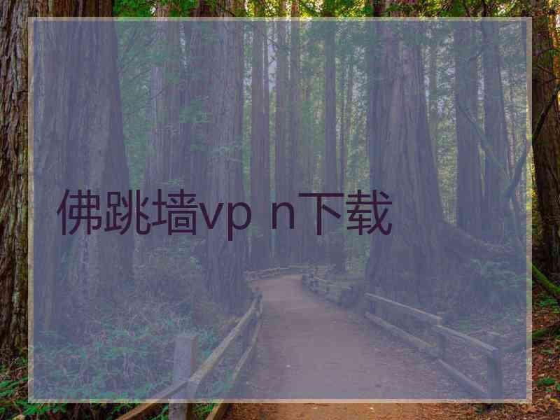佛跳墙vp n下载
