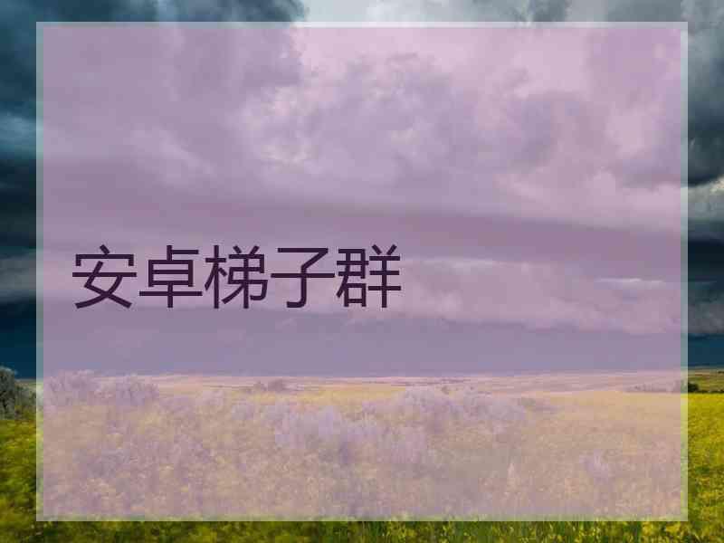 安卓梯子群