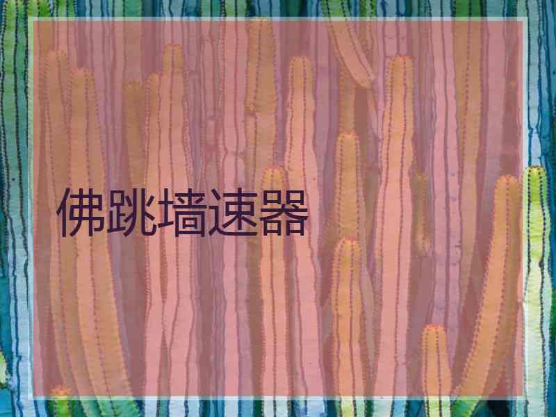 佛跳墙速器