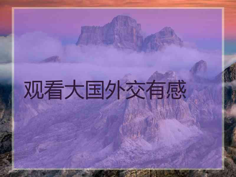 观看大国外交有感