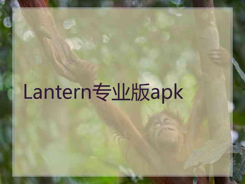 Lantern专业版apk