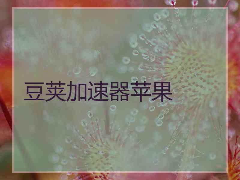 豆荚加速器苹果