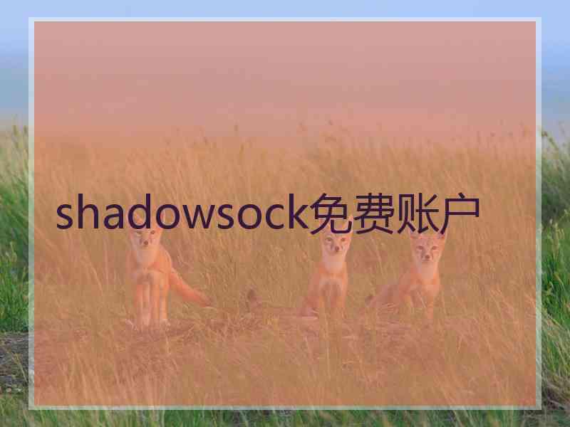 shadowsock免费账户