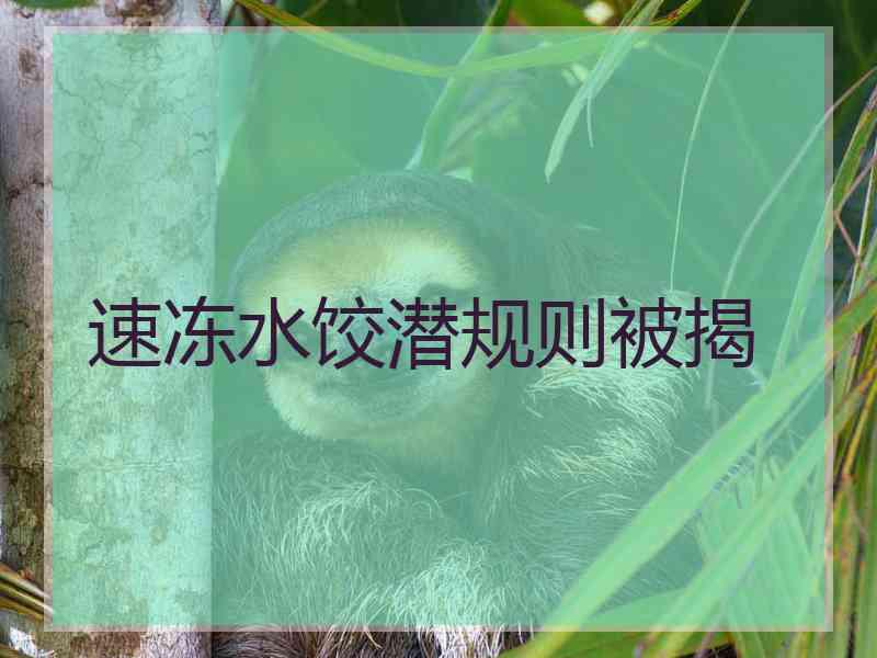 速冻水饺潜规则被揭