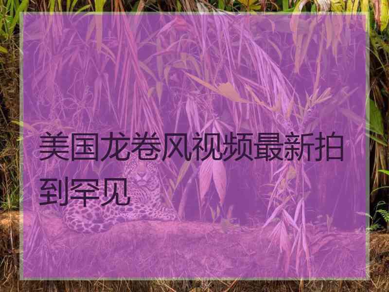 美国龙卷风视频最新拍到罕见