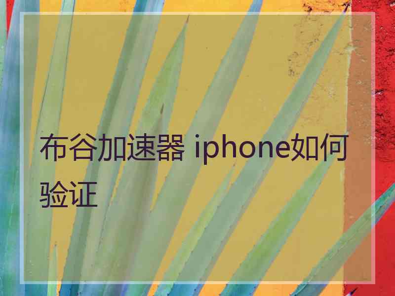 布谷加速器 iphone如何验证