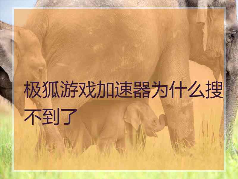 极狐游戏加速器为什么搜不到了