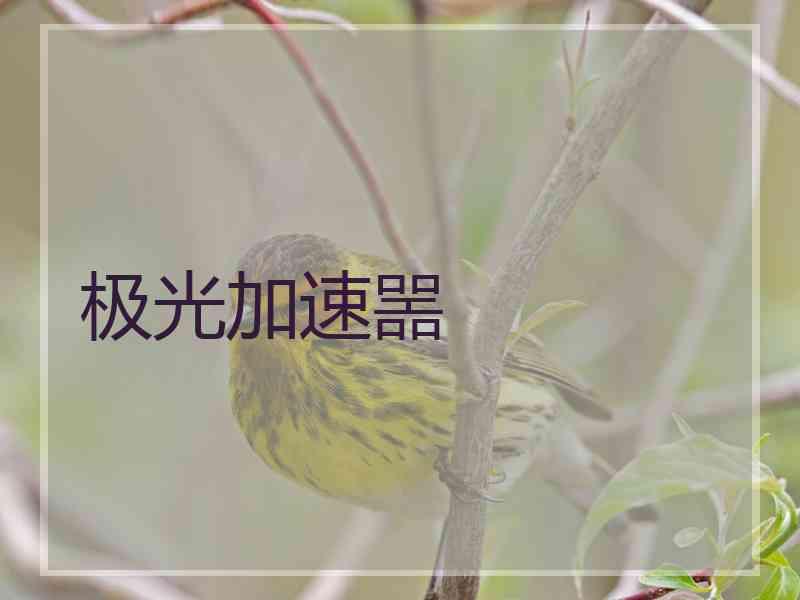 极光加速噐