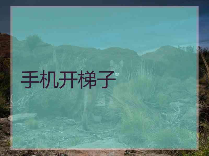 手机开梯子