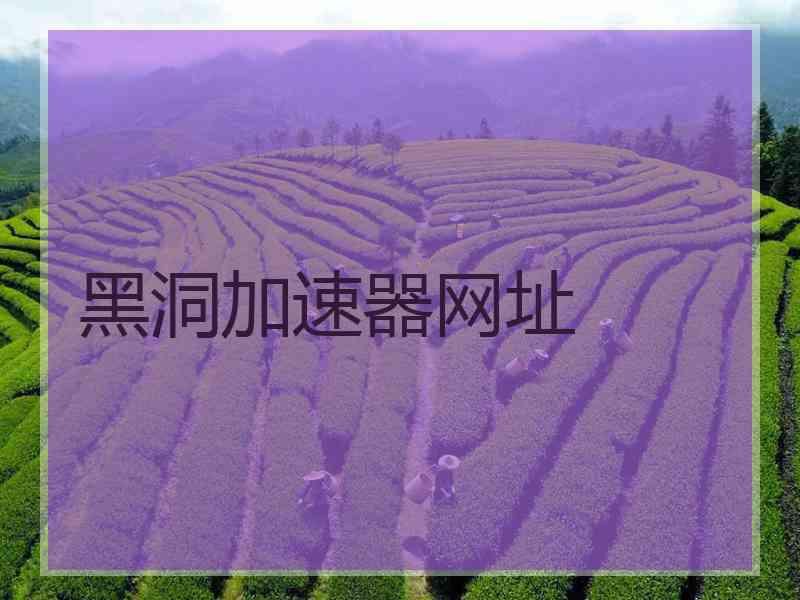 黑洞加速器网址
