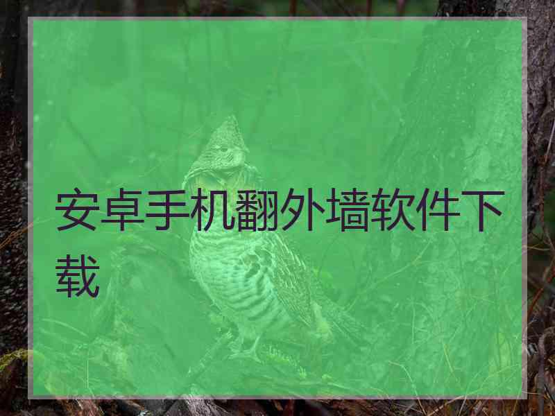 安卓手机翻外墙软件下载