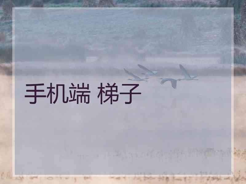 手机端 梯子