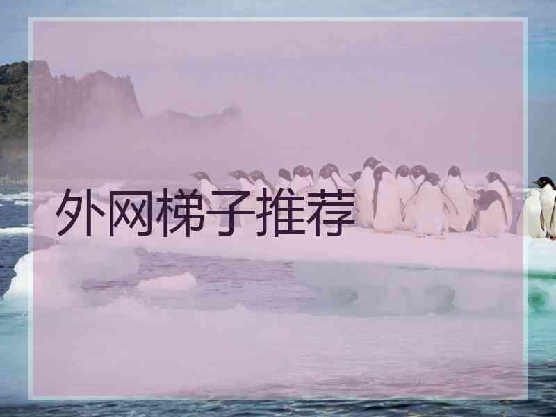 外网梯子推荐