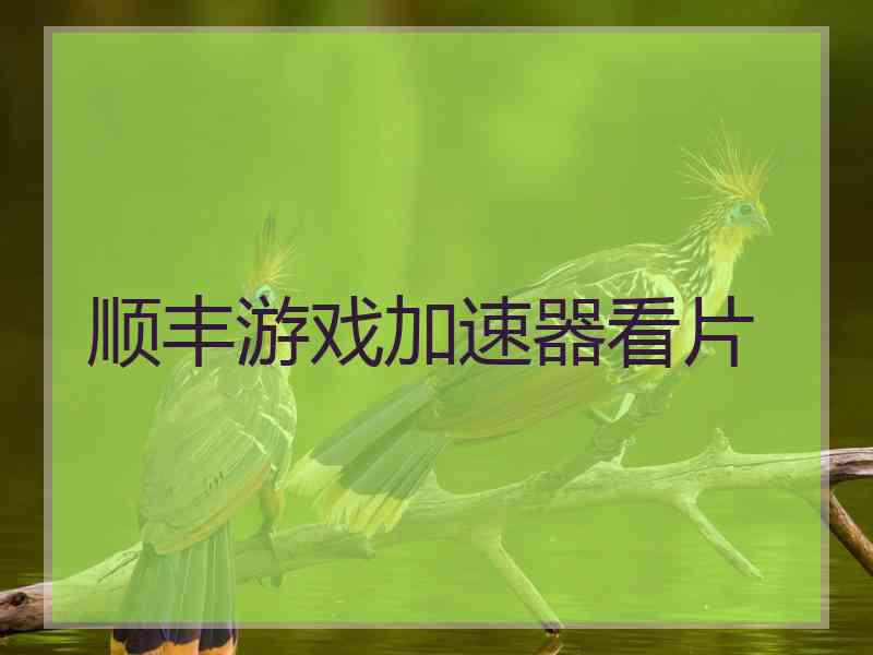 顺丰游戏加速器看片