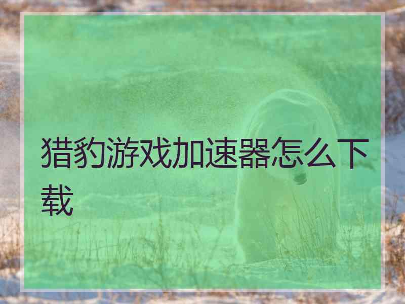猎豹游戏加速器怎么下载