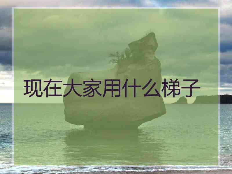 现在大家用什么梯子