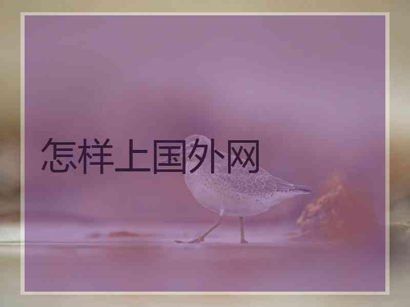 怎样上国外网