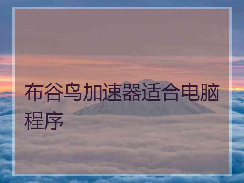 布谷鸟加速器适合电脑程序