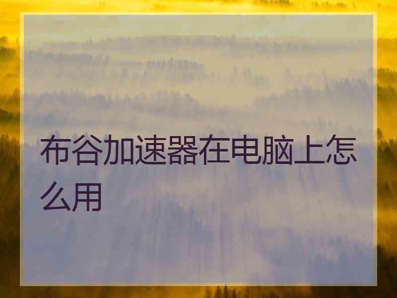 布谷加速器在电脑上怎么用