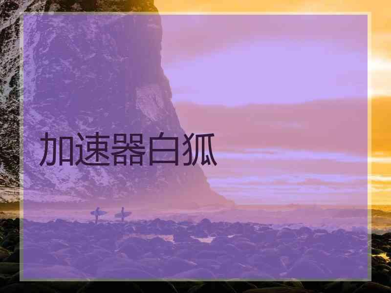加速器白狐