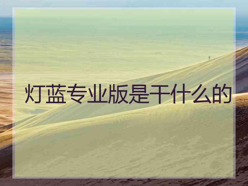 灯蓝专业版是干什么的