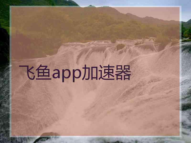 飞鱼app加速器