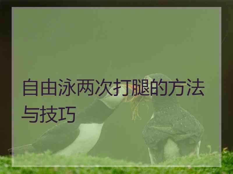 自由泳两次打腿的方法与技巧