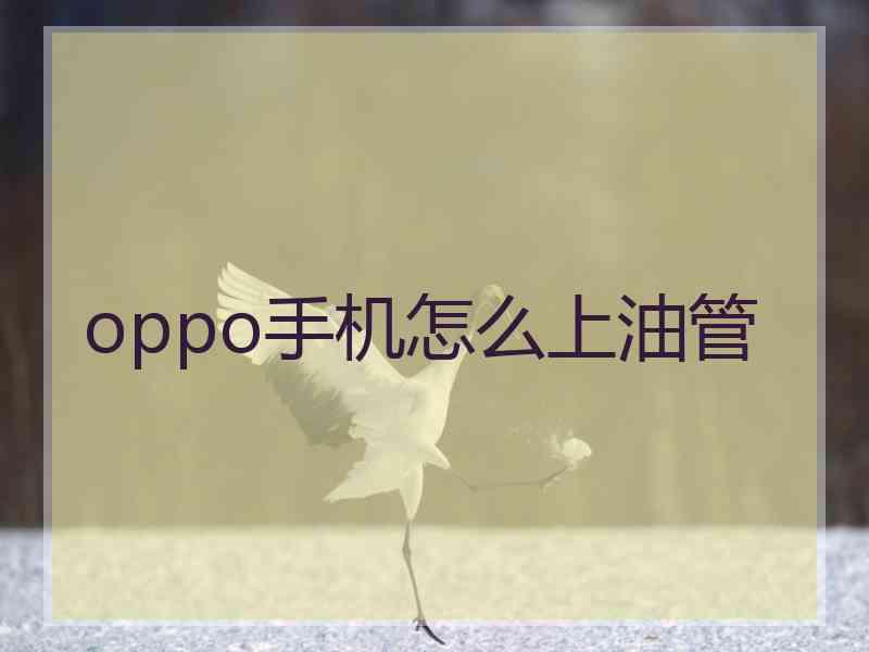 oppo手机怎么上油管