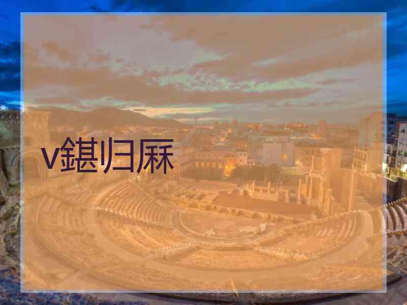 v鍖归厤