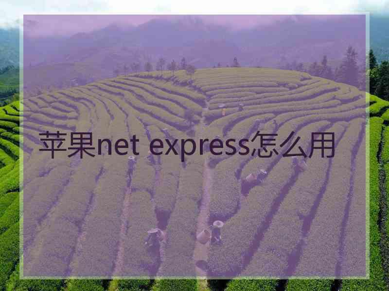 苹果net express怎么用