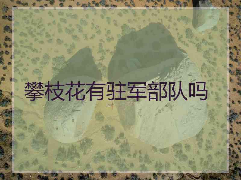攀枝花有驻军部队吗