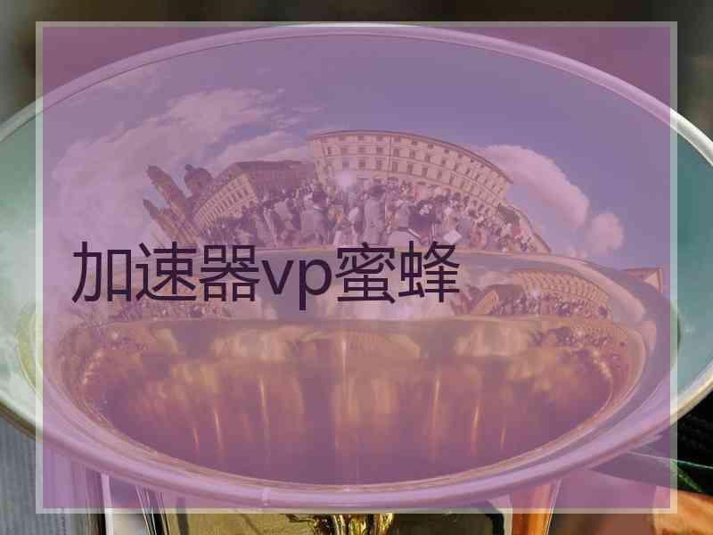 加速器vp蜜蜂