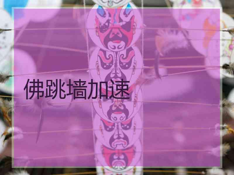 佛跳墙加速