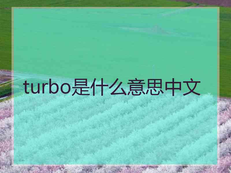 turbo是什么意思中文