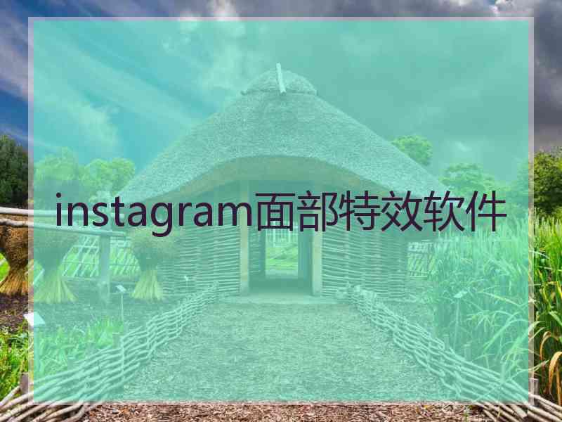 instagram面部特效软件