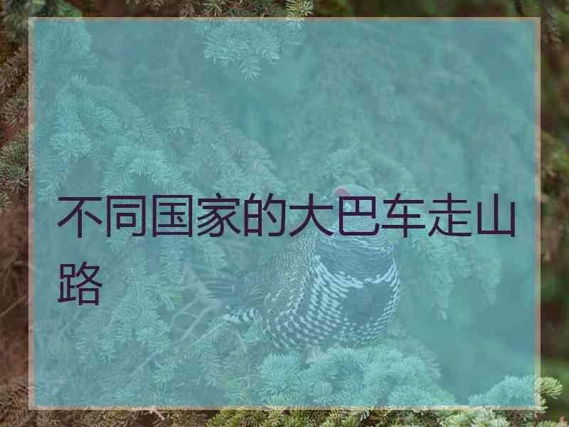 不同国家的大巴车走山路