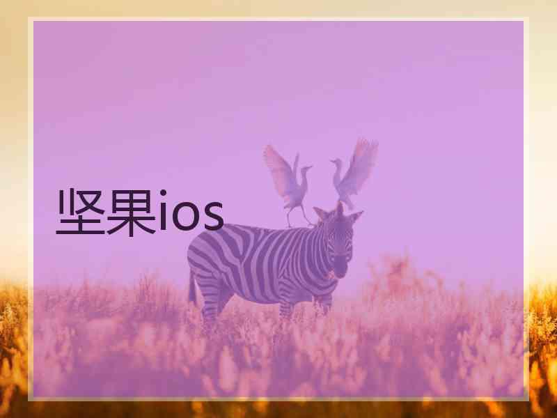 坚果ios