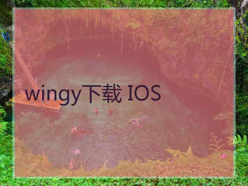 wingy下载 IOS