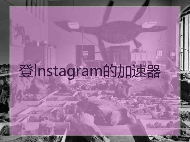 登lnstagram的加速器