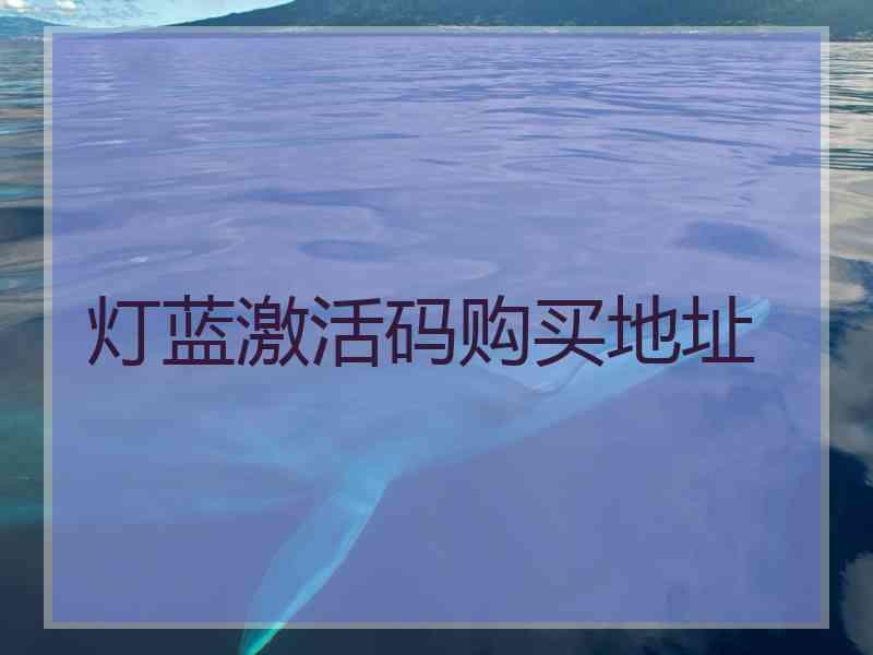灯蓝激活码购买地址