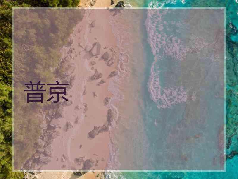 普京