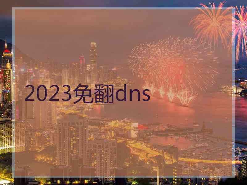 2023免翻dns